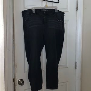 Torrid premium jeans 22S
